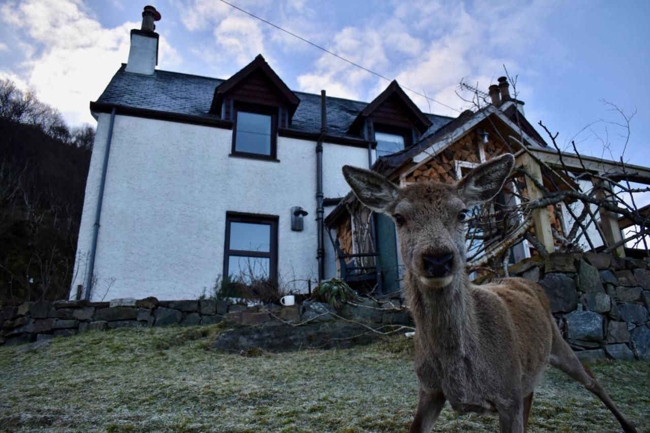 Ardmore House B&B Lochinver Exteriör bild