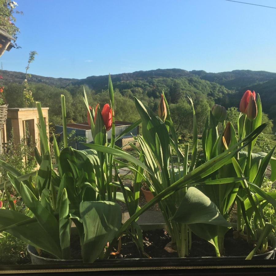 Ardmore House B&B Lochinver Exteriör bild