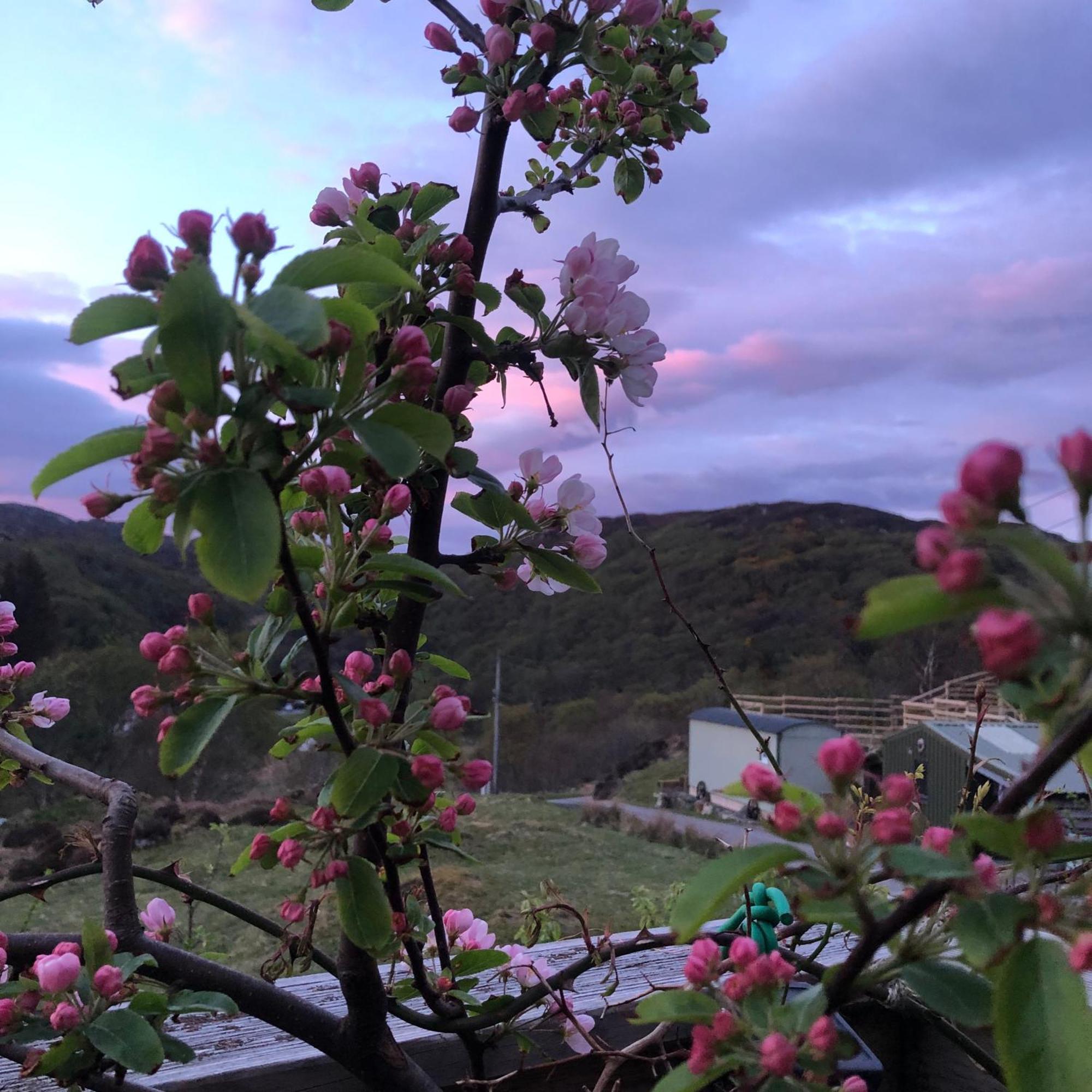 Ardmore House B&B Lochinver Exteriör bild